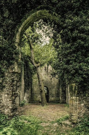 A cover of "HOUSE TYRELL" cluster. The owner is moonymeadows. The cluster consists of 10 elements.