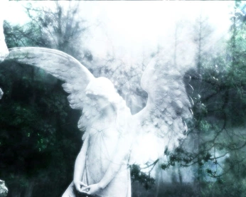 A cover of "Wings of Desire" cluster. The owner is iamnotyui. The cluster consists of 8 elements.