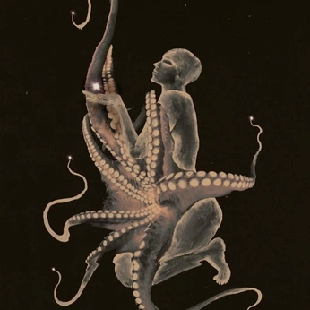 A cover of "/Movement/" cluster. The owner is indigoskies. The cluster consists of 59 elements.