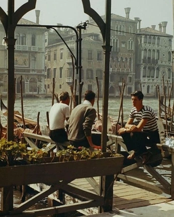 A cover of "the soul of Venice" cluster. The owner is samarakatherine. The cluster consists of 13 elements.