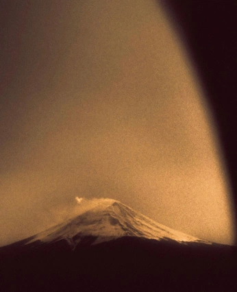 A cover of "Brown nature" cluster. The owner is margauxplg. The cluster consists of 12 elements.