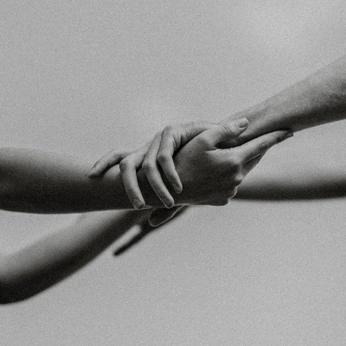 A cover of "Sapien" cluster. The owner is apostrophi. The cluster consists of 28 elements.