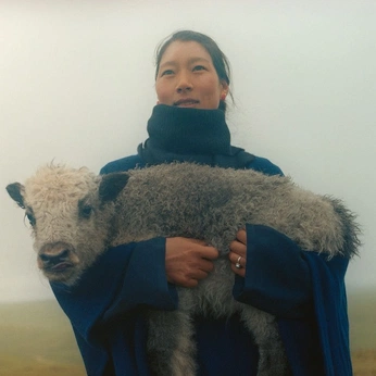 A cover of "Countryside" cluster. The owner is juliaskalska. The cluster consists of 42 elements.