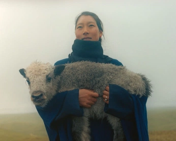 A cover of "Mocking Jay" cluster. The owner is keithlau. The cluster consists of 4 elements.