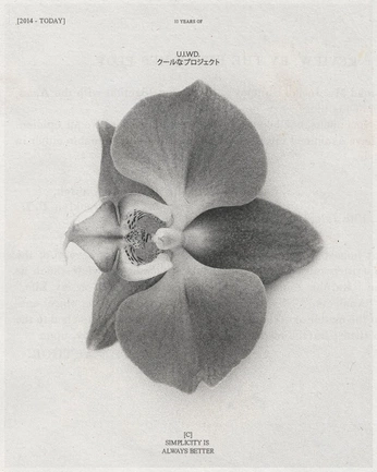 A cover of "TCC" cluster. The owner is sofiaferreira. The cluster consists of 10 elements.