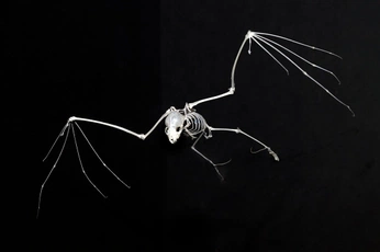 A cover of "Tat" cluster. The owner is kiezee. The cluster consists of 6 elements.