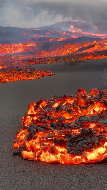 A cover of "Destroy" cluster. The owner is tazmota. The cluster consists of 1 element.