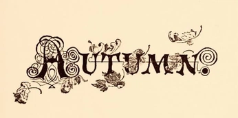 A cover of "Autumn" cluster. The owner is sarahbims. The cluster consists of 3 elements.