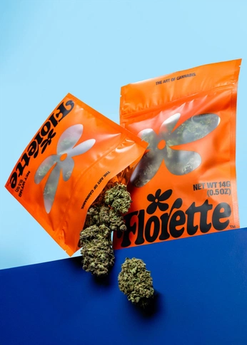 A cover of "Cigaflor" cluster. The owner is michbenberutz. The cluster consists of 28 elements.