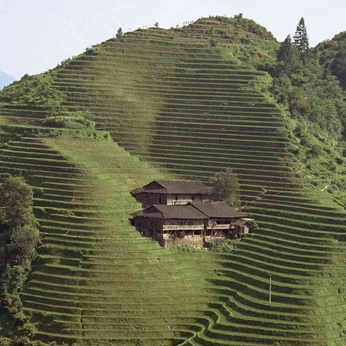 A cover of "living earth 👀" cluster. The owner is sophburns. The cluster description is "here in the heart. we are the earth. breathe love.". The cluster consists of 542 elements.