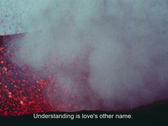 A cover of "all about love" cluster. The owner is jessyvcastillo. The cluster consists of 7 elements.