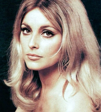 A cover of "model" cluster. The owner is kool.kat. The cluster consists of 57 elements.