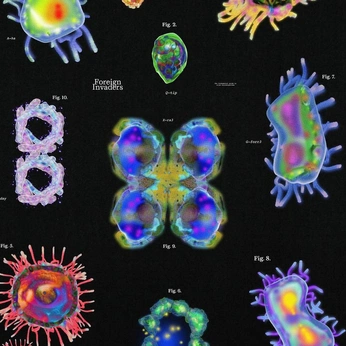 A cover of "Estetica" cluster. The owner is maravilla. The cluster consists of 18 elements.
