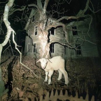 A cover of "holiday spirit" cluster. The owner is shandenicourt. The cluster consists of 92 elements.