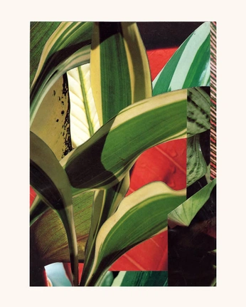 A cover of "Daniel Lint" cluster. The owner is capsboutique. The cluster consists of 24 elements.