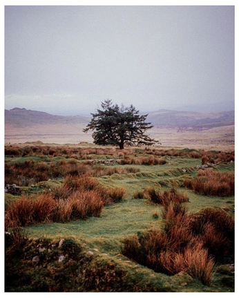 A cover of "Atmosphere" cluster. The owner is jade96. The cluster consists of 15 elements.