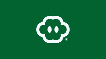 A cover of "brands" cluster. The owner is erenyilmaz. The cluster consists of 2 elements.