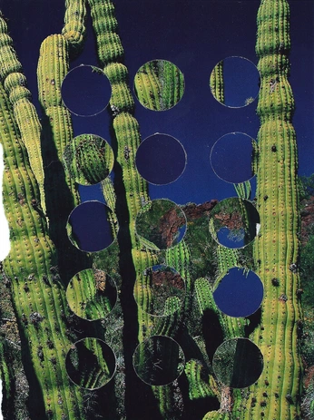 A cover of "003_GUM_2_Cover_25" cluster. The owner is connor03oa. The cluster consists of 20 elements.