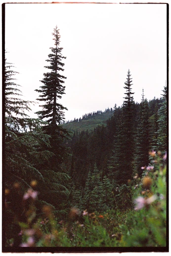 A cover of "Shoot color edits" cluster. The owner is thisisaspell. The cluster consists of 34 elements.