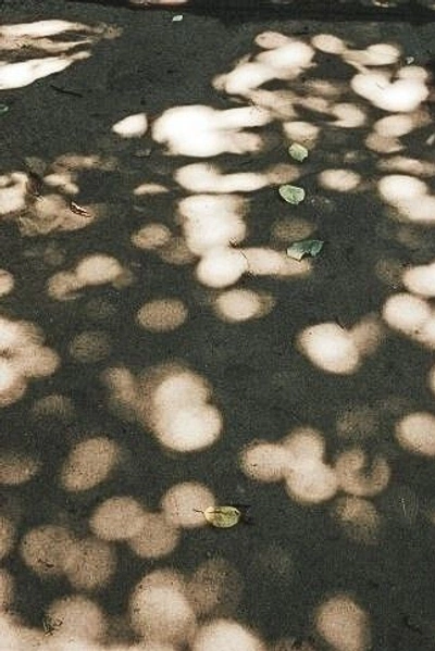 Textures and materials / summer moodboard (@samcore) / Cosmos