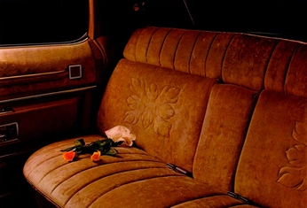 A cover of "Photography" cluster. The owner is armenmn. The cluster consists of 235 elements.