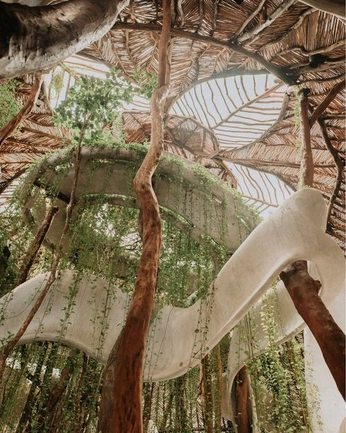 A cover of "klarify" cluster. The owner is yousuf. The cluster consists of 6 elements.