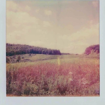 A cover of "Back to the Same Place" cluster. The owner is ajdapro. The cluster consists of 12 elements.