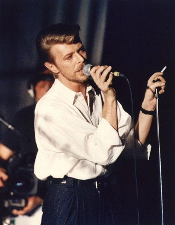 A cover of "bowie" cluster. The owner is garrettking. The cluster consists of 22 elements.