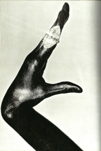 A cover of "gesture archive" cluster. The owner is leonog. The cluster consists of 1 element.