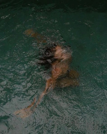 A cover of "Photo" cluster. The owner is notnastya. The cluster consists of 4 elements.