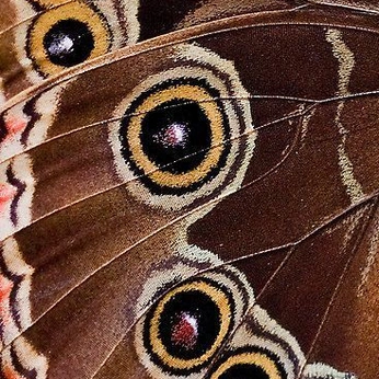 A cover of "Random Inspo" cluster. The owner is mert. The cluster consists of 698 elements.