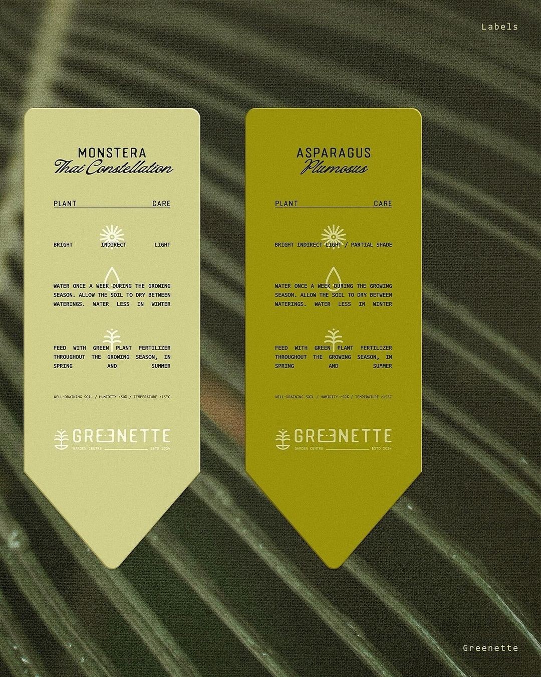 An Instagram carousel post added by 6 on Oct 31, 2024. The author is @designerbriefs.