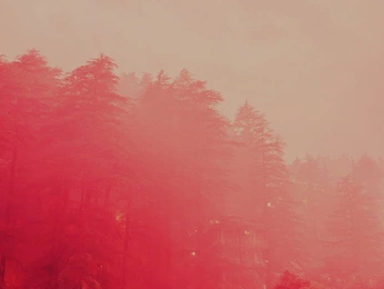 A cover of "neon-drenched insomnia" cluster. The owner is norschach. The cluster consists of 3 elements.