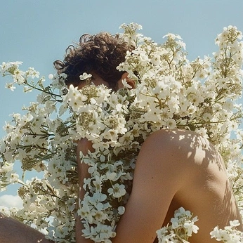 A cover of "Nomadica" cluster. The owner is homohabitual. The cluster description is "NSFW 18+". The cluster consists of 485 elements.