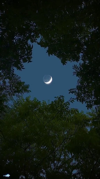 A cover of "ماه" cluster. The owner is mahi0110. The cluster consists of 1 element.