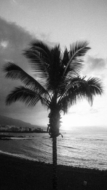 A cover of "nature" cluster. The owner is dewsy. The cluster consists of 11 elements.