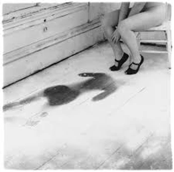 A cover of "Franchessca Woodman" cluster. The owner is treesap. The cluster consists of 5 elements.