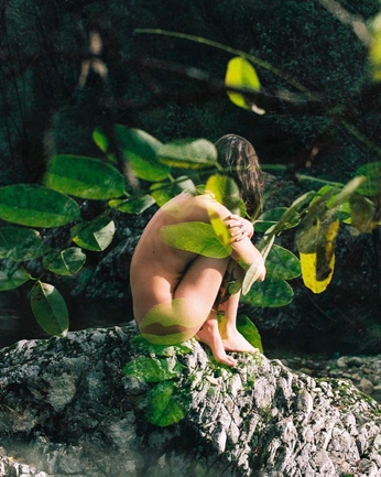 A cover of "alegraorganica" cluster. The owner is alinaackwonu. The cluster consists of 10 elements.