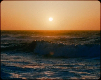 A cover of "Summer sol" cluster. The owner is triniityyy. The cluster consists of 13 elements.