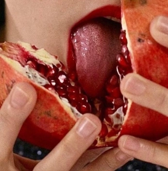 A cover of "food refs" cluster. The owner is juniper02. The cluster consists of 14 elements.