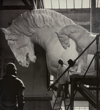 A cover of "Sagittarius ♐︎" cluster. The owner is theplace. The cluster consists of 1 element.