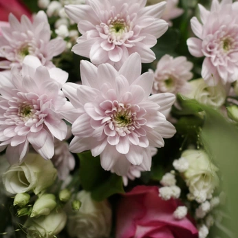 A cover of "Diary" cluster. The owner is davidmendes. The cluster description is "Remembering my life, one photo at a time". The cluster consists of 22 elements.