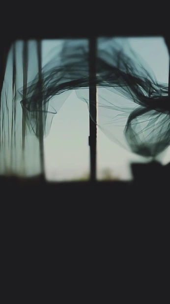 A cover of "SEE | Inspo" cluster. The owner is jpelasio. The cluster consists of 2 elements.