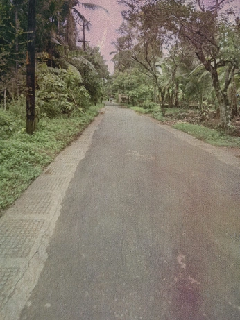 A cover of "Nature" cluster. The owner is dhaarmik. The cluster consists of 3 elements.