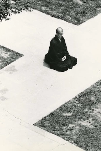 A cover of "moo" cluster. The owner is petitegarcon. The cluster consists of 4 elements.