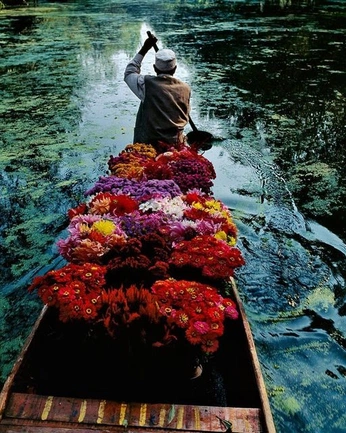 A cover of "Traveling Merchant" cluster. The owner is celeb22. The cluster consists of 10 elements.