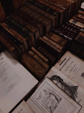 A cover of "Reading/guest room" cluster. The owner is ctanime. The cluster consists of 8 elements.