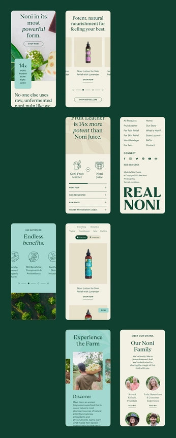 A cover of "UI design" cluster. The owner is yuenletsgo. The cluster consists of 12 elements.