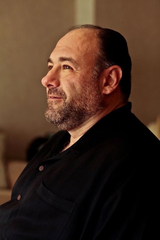 A portrait of actor James Gandolfini.