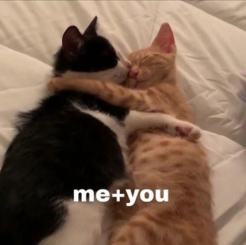 A cover of "КОТЭ" cluster. The owner is etherealcrystal. The cluster consists of 9 elements.